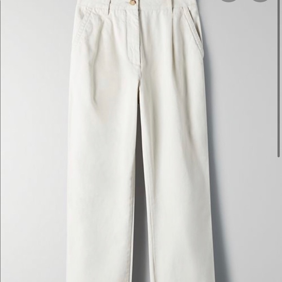 ARITZIA PANTS